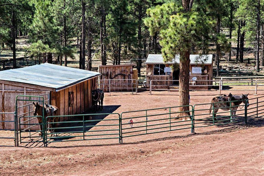 Mountain Ranch Resort At Beacon Hill Williams Exteriör bild