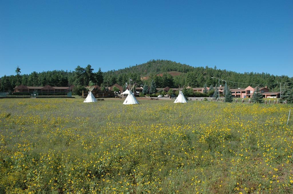 Mountain Ranch Resort At Beacon Hill Williams Exteriör bild